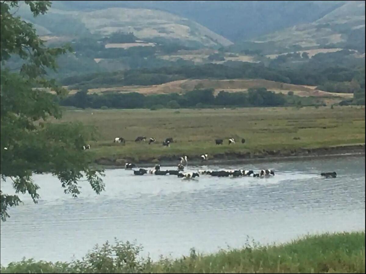 Holiday home Dyfi Hideaway - Snowdonia - Stunning River & Valley Views - Ynyshir Machynlleth